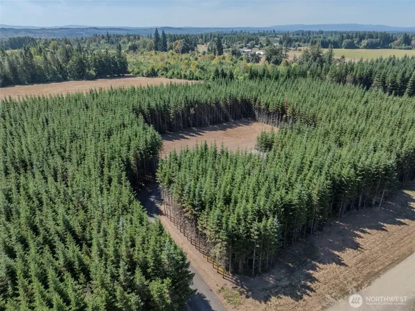 263 Twinflower Lane, Onalaska, WA 98570