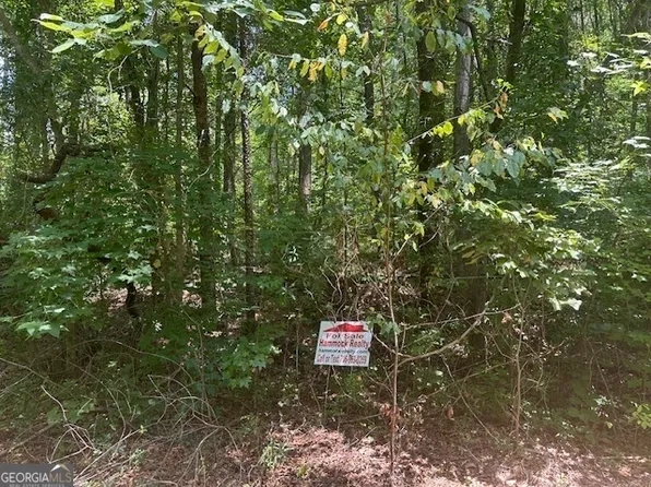 57 Dogwood Trl, Martin, GA 30557