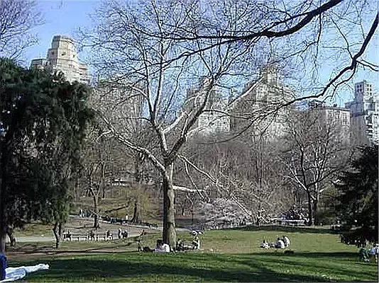 Rented by Buchbinder & Warren | media 24