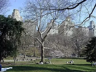 Rented by Buchbinder & Warren