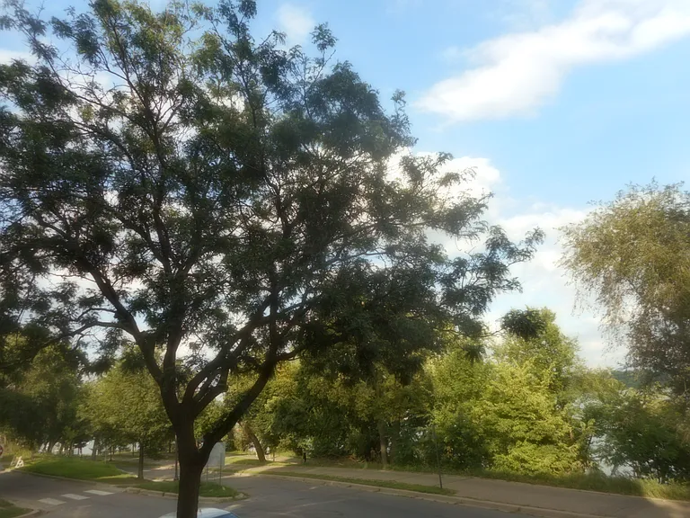 4418 W Lake Harriet Pkwy #1 — Photo 14