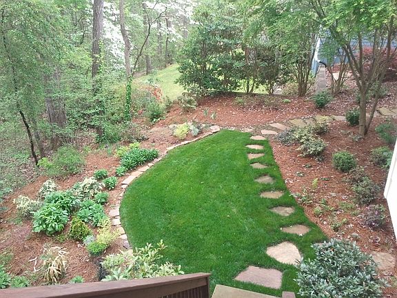 back yard. Grass doen'st look like that anymore.
