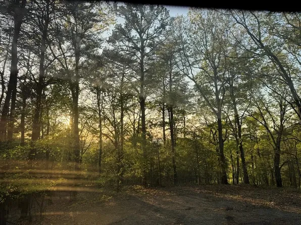 710 Railey Rdg NE #710, Ranger, GA 30734