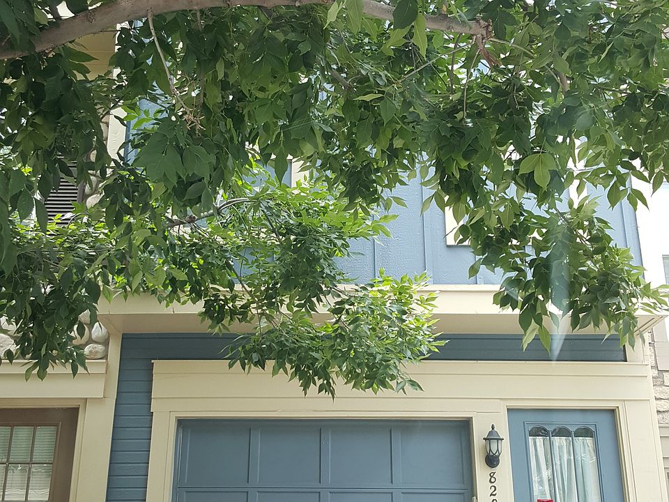 Front of home/shaded driveway to garage and front door