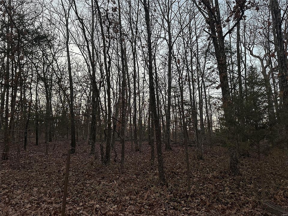 2nd image of 0 Holt Rd #B