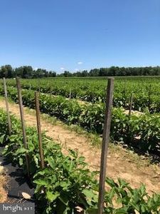 0 Crystal Rd, Elmer, NJ, 08318