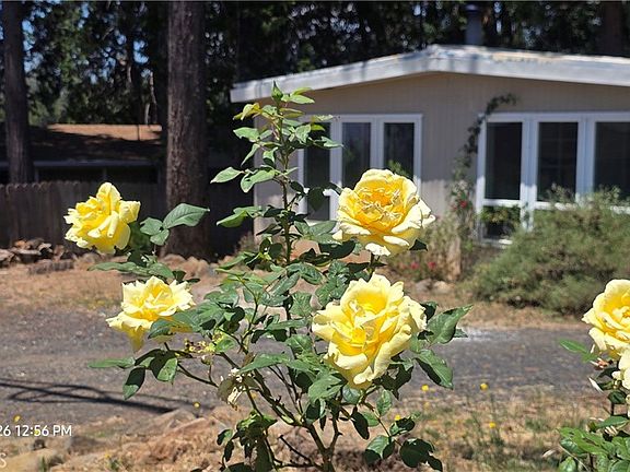 2nd image of 6485 Ponderosa Way