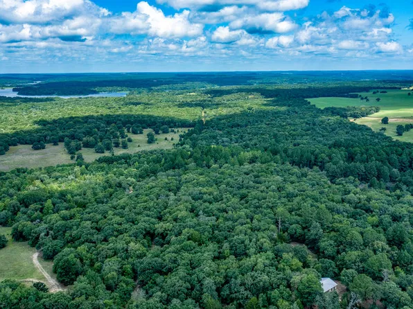 2624 County Road 1100, Montalba, TX 75853