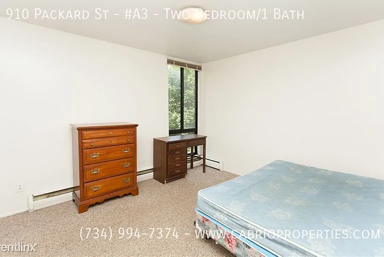 910 Packard St — Photo 13