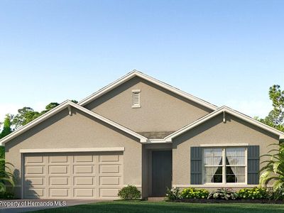 8181 County Line Rd, Spring Hill, FL, 34608
