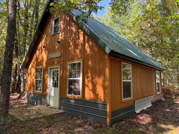 10334 W Seven Mile Rd, Irons, MI 49644