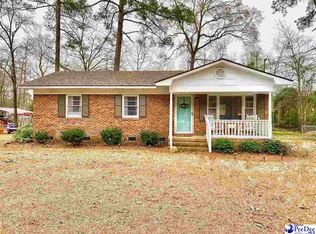 2334 Moccasin Bluff Rd, Hamer, SC 29547