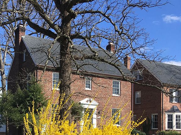Forsythia and the front of the house in March