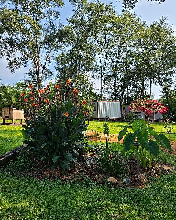 Nice plants & lawn