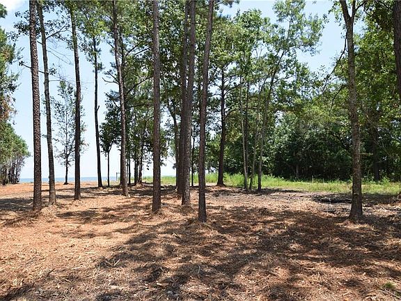 5th image of 15571 Dauphin Island Pkwy