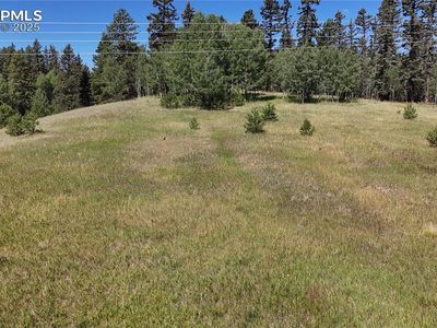 Spring Valley Dr, Divide, CO, 80814
