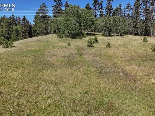 Spring Valley Dr, Divide, CO 80814