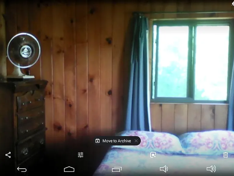 6136 Lake Leelanau Dr — Photo 18