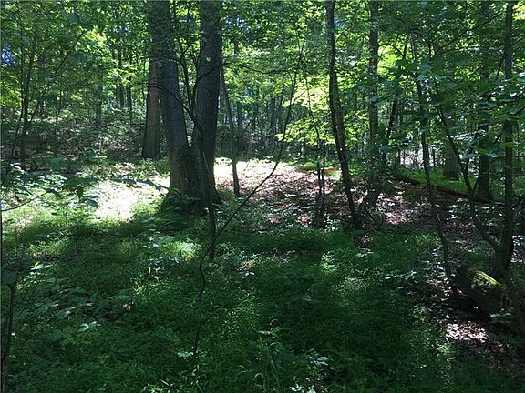 4th image of 0 New Hampshire Dr