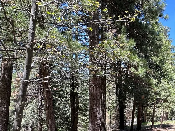 25648 Hi Ln Lot 124, Twin Peaks, CA 92391