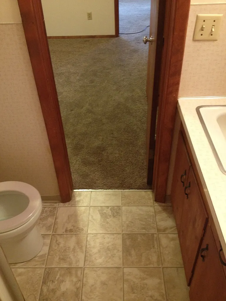 1 bed, 450 sqft, $910 — Photo 3