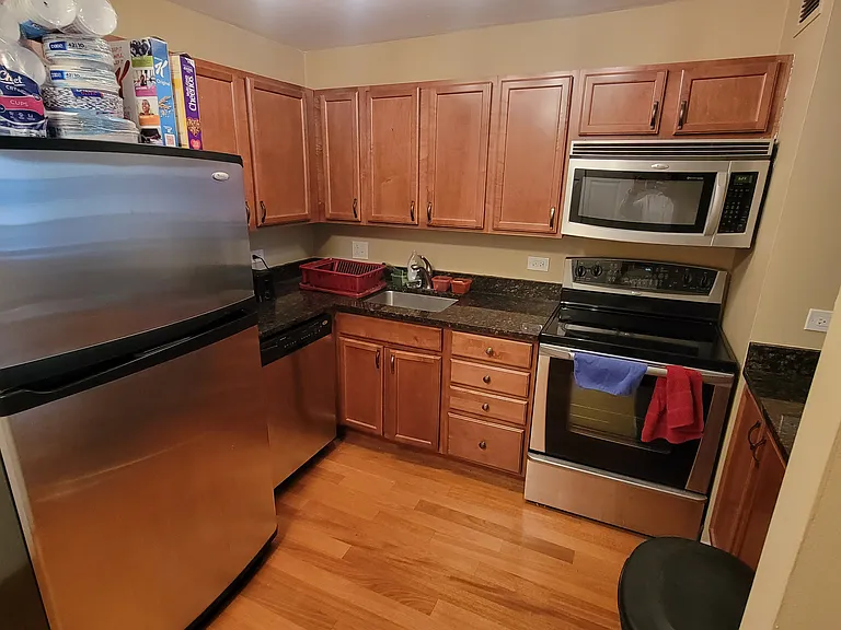 222 E Pearson St #1407 — Photo 7