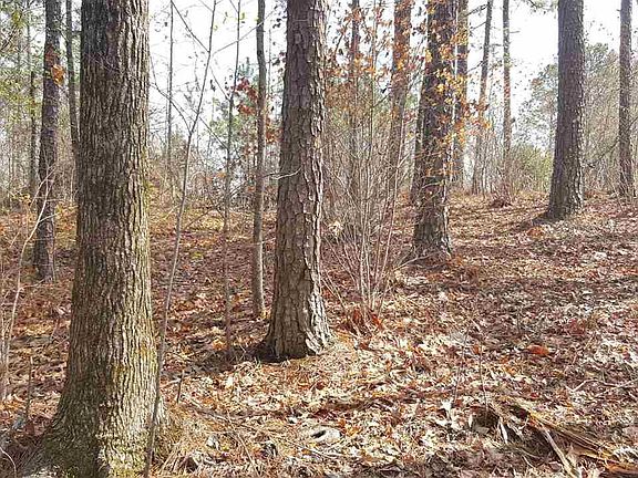 3rd image of 5716 Carrington Lake Pkwy #75