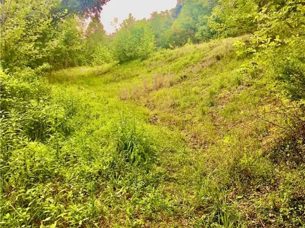 5055 Lynn Creek Rd, Lavalette, WV 25535