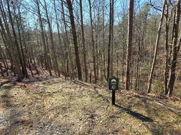 83R Cedar Ct, Ellijay, GA 30540