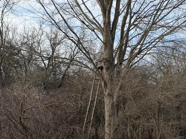 Harper Rd, Holt, MI 48842