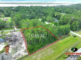 4772 Cardinal St, Woodbine, GA 31569