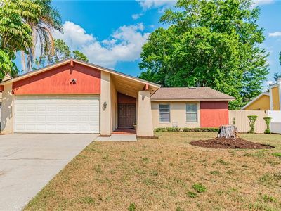 7306 Sunshine Cir, Tampa, FL, 33634