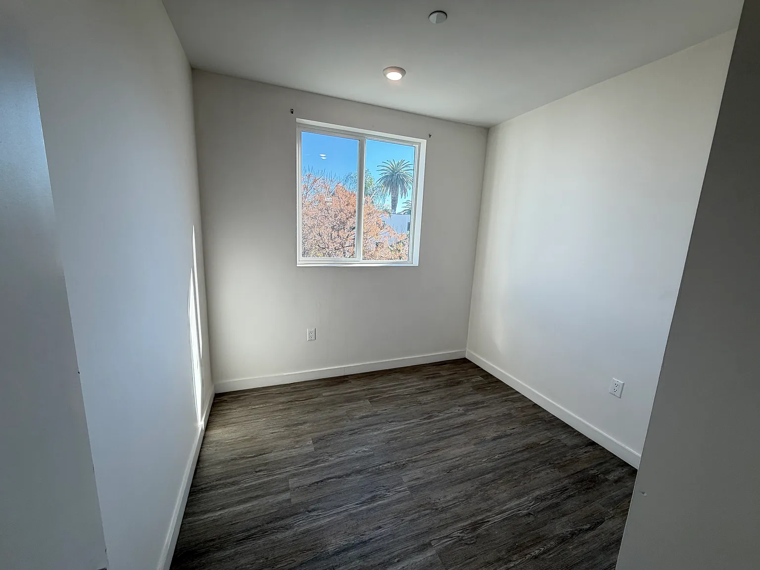 1 bed, 325 sqft, $1,800 — Photo 3