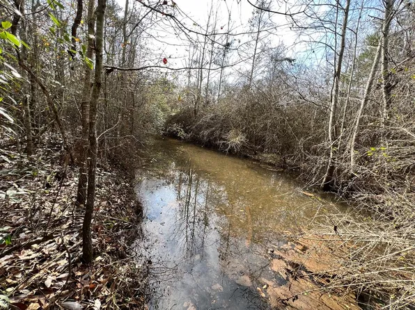 0 Commerce St, Cottonwood, AL 36320