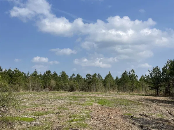 TRACT 14 Lorin Wall Rd Lot 14, Holden, LA 70744