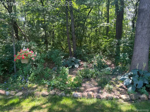 3383 Baldwin Woods Dr, Lake Orion, MI 48359
