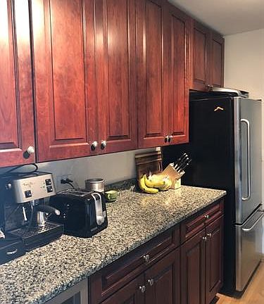 5th image of 1255 N Sandburg Ter Unit 1002