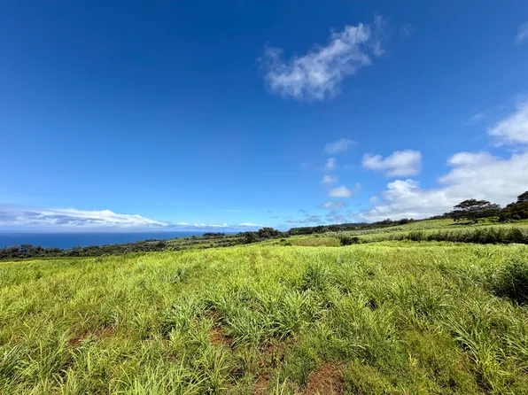 32-195 Piha Kahuku Rd Lot 4, Ninole, HI 96773