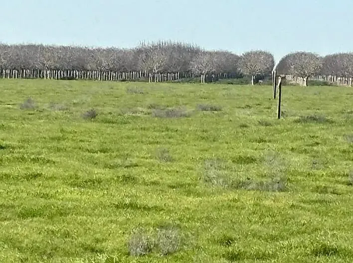 0 NW Canal photo 1