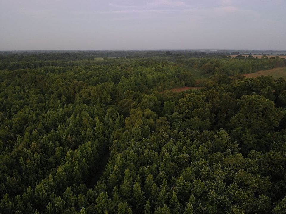 Dji 0164