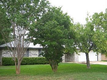 1st image of 8904 Trailridge Dr