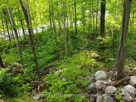 5th image of 52 Tiny Beaches Rd N