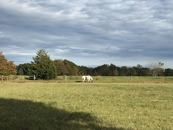 Front pasture facing street