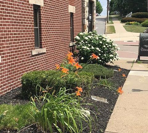 Outside Garden Area