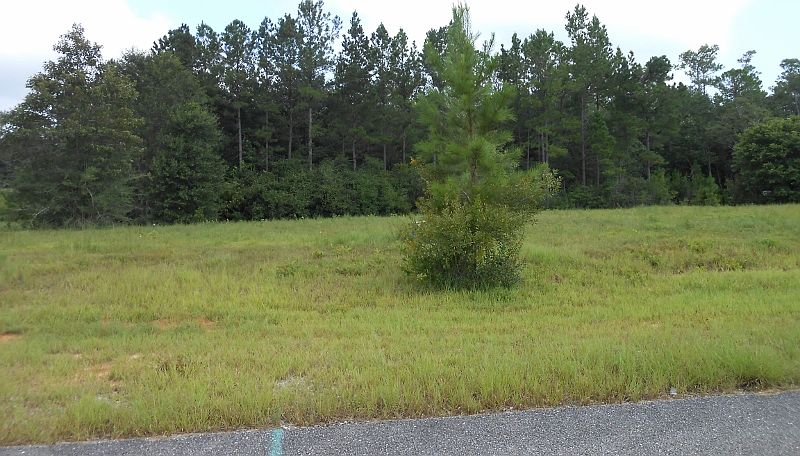 2nd image of Seneca Hls