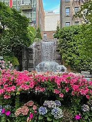 Rented by Douglas Elliman