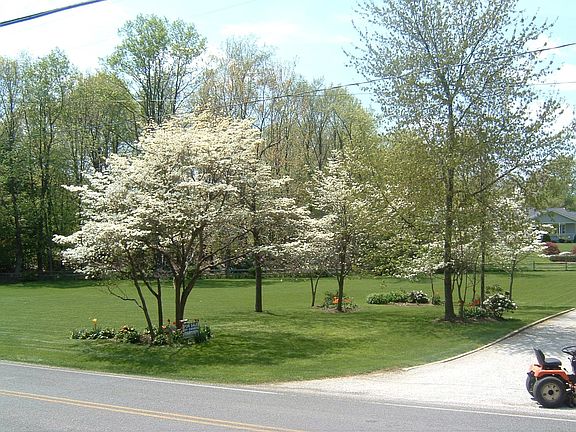 Left  Side of Property