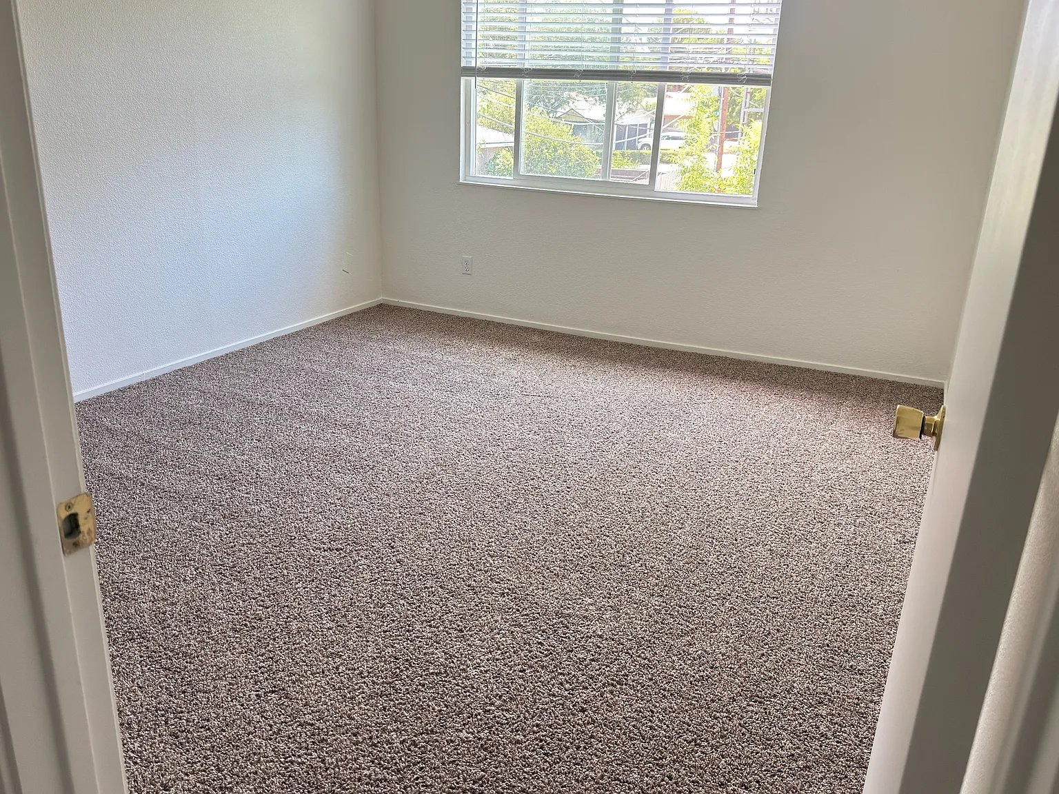 3110 College Avenue - D — Photo 4