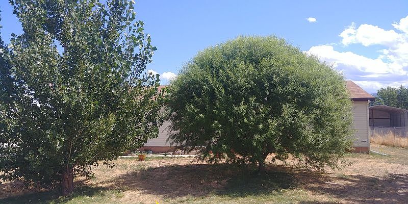 2nd image of 4922 N 2950 W