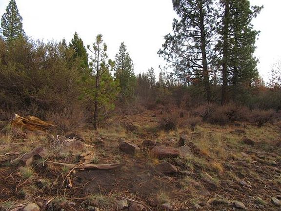 4th image of 0 Polar Bear Ln Lot 4